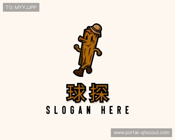 介绍球探